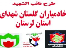 برگزاری طرح نائب الشهید در آخرین موکب خروجی شهرستان کوهدشت، استان لرستان