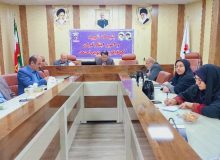 حضور مدیر خادمیاران شهدای استان کهگیلویه و بویراحمد در جلسه وبینار با ریاست بنیاد شهید و امور ایثارگران کشور