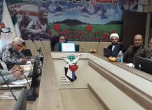 مدیر خادمیاران شهدای استان کردستان با مدیرکل بنیادشهید و امورایثارگران استان دیدار کردند.